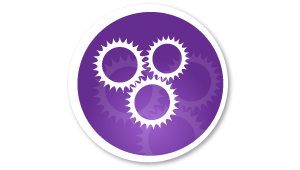 Video Streaming Services in India, Podcasting Services in Bangalore, Multimedia Video Conferene in India